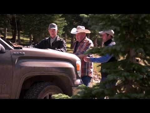 UNDER THE TOWER PRODUCTIONS video.