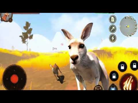 The Kangaroo