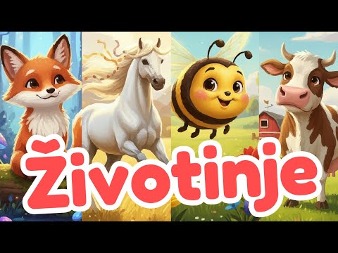 Pesma o životinjama / Pesmice za decu / Veseli Svet