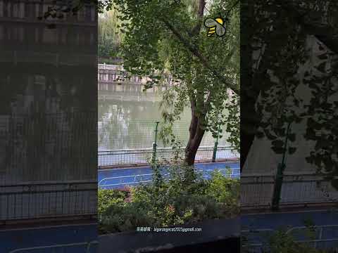State Bureau for Letters and Calls Installs Anti-Jumping Barriers to Prevent Petitioners from Jum...