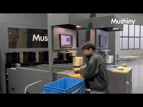 3D Sorter Max