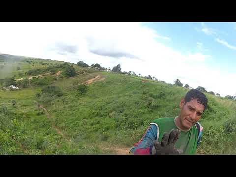 5º Trilhão de Baixa Grande de Inhambupe - BA Vídeo 15