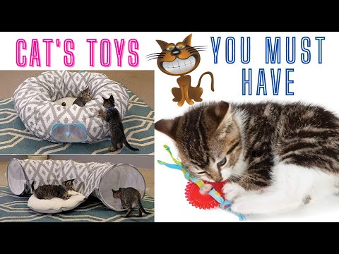Cat Toys for indoor Cats|| funny cat toys| #DaveHax
