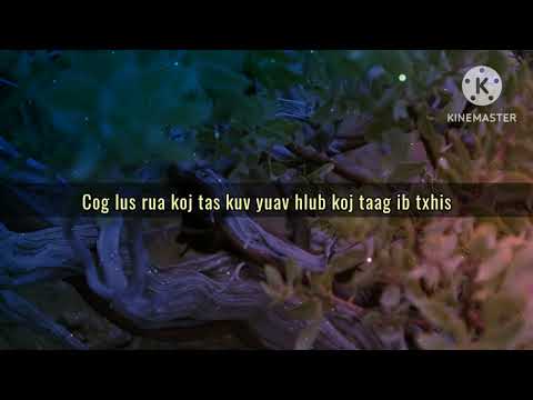 Cog Lus Rau Koj - Vicky Yang (lyrics)