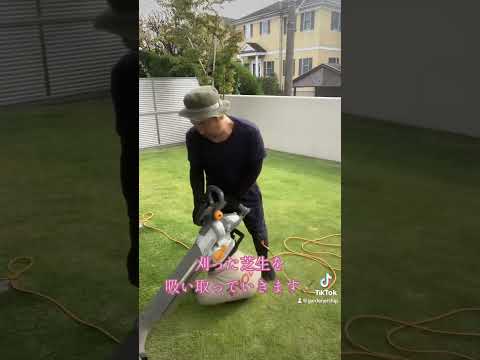 冬でも緑の芝生を保つにはどうすればいいですか？メンテナンスアドバイス+チュートリアル  庭園