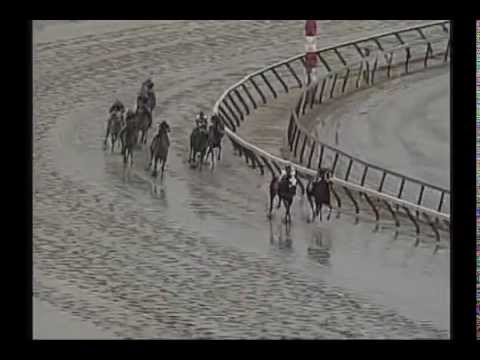 2006 Wood Memorial Stakes - Bob And John