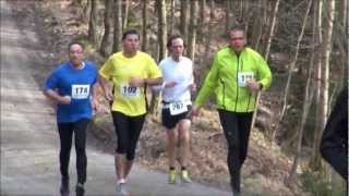 preview picture of video '23. Virngrund Waldlauf in Rosenberg 2013'