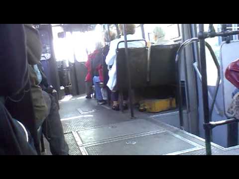 Ikarus 260 - BPI-647 [282E Köki - Lőrinci temető]