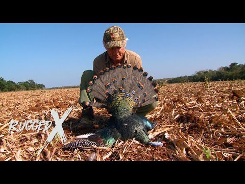 Turkey Hunting in Mexico