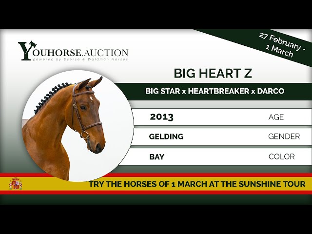 Big Heart Z showing in Spain