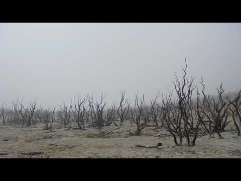 Ajoura - Lape Kiwen (original version)