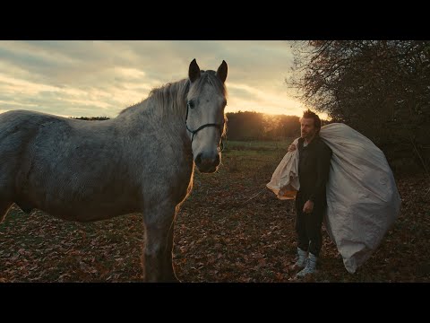 Bonaparte - People vs. Money / Fuck Money