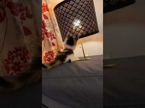 This is how she plays.