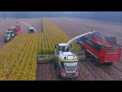 Mais 2022 : Corn Harvest XXL | Claas Jaguar 980 & 970 | 10 Claas & New Holland tractors | Piening