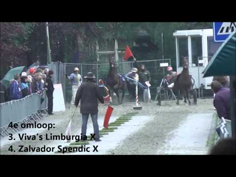 Korte Baanflits  Samenvatting Sassenheim 2013