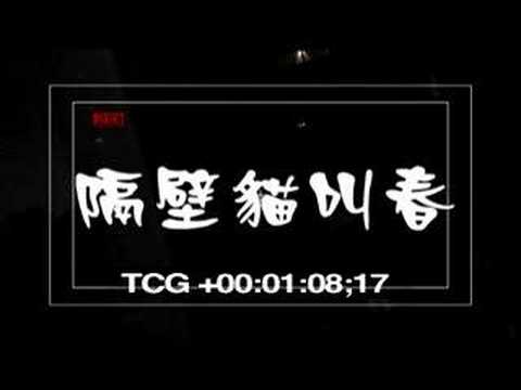 鄰居貓叫春