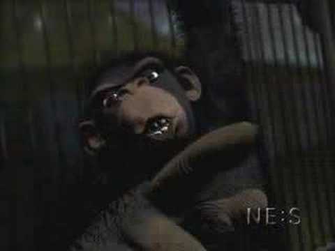 joe pesci monkey