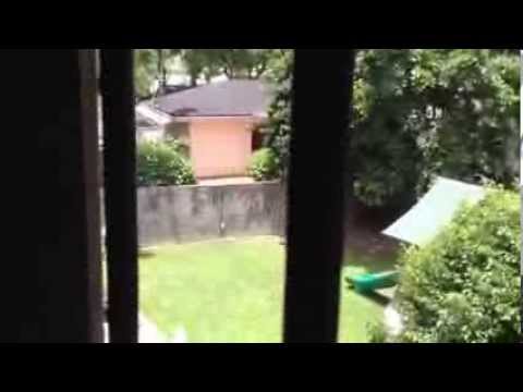 download lagu mp3 mp4 Teensgarden Com, download lagu Teensgarden Com gratis, unduh video klip Teensgarden Com