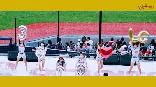 LG트윈스·190518(토) 치어리더 특별공연｜Thank you - PSY(싸이 ft.서인영) [4K10bit]