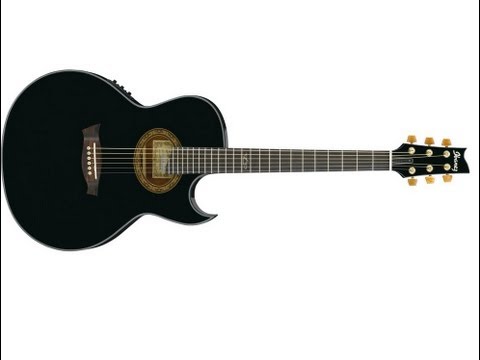 Ibanez Euphoria EP5 - Steve Vai Acoustic first look