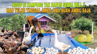 Download lagu HIDUP DI KAMPUNG TAK HARUS SERBA BELI..!! MAU TELOR TINGGAL AMBIL MAU BUAH AMBIL SAJA mp3