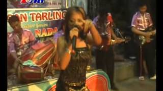 Download lagu Duda Araban - SAKA SINAR MUDA mp3