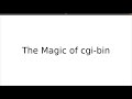 The Magic Of Cgi Bin