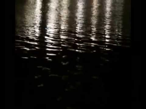 Video thumbnail for Vs. D-Fine - [Vorrunde 2 - VBT 2013]