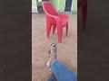 NDAMA JIGUSHILAGA Usiwah Kununua Gari Wahi Kununua Shamba MPYA 5 1 2026 BY SHULE MSABAZAJI