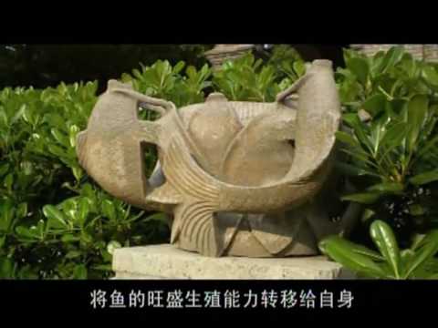 生殖器崇拜