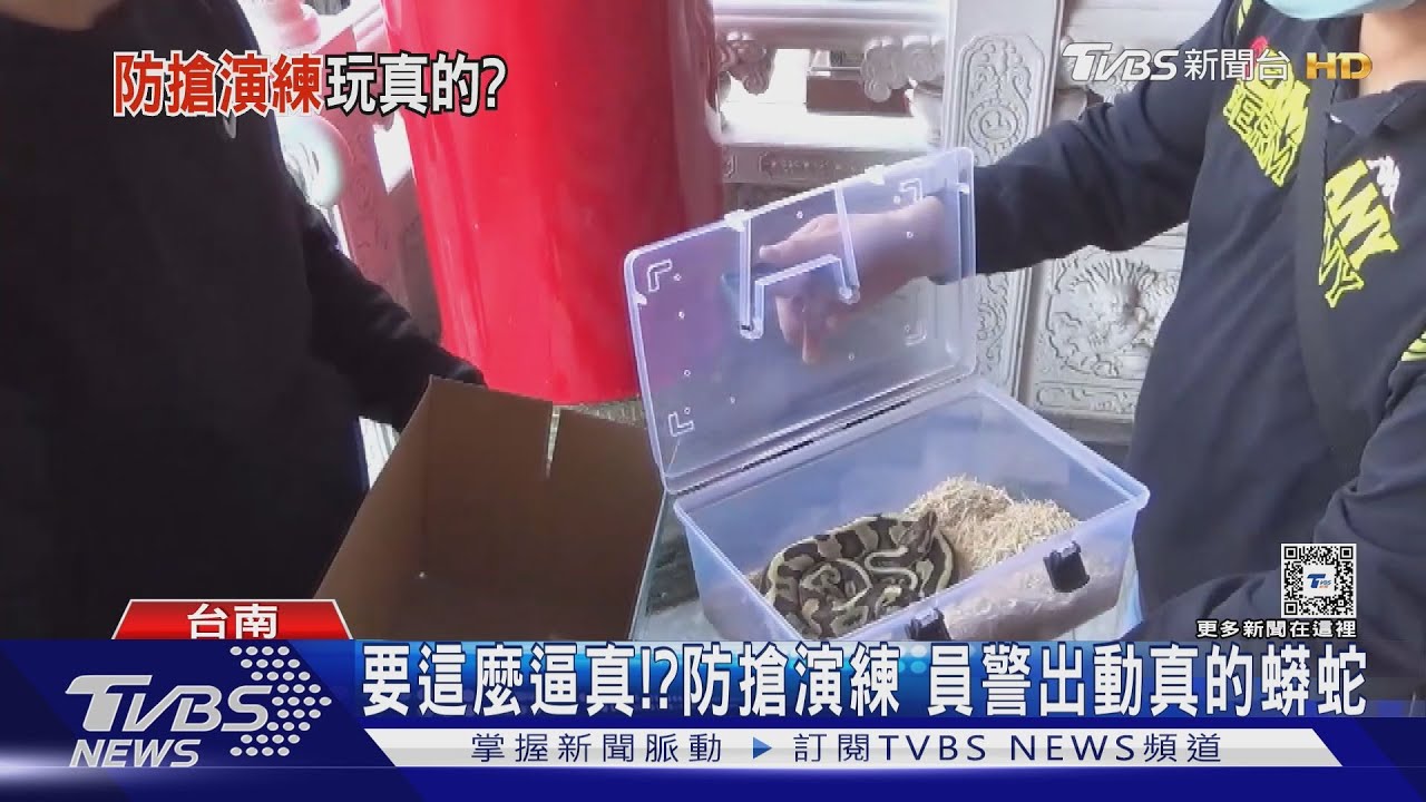 要這麼逼真!? 防搶演練 員警出動真的蟒蛇