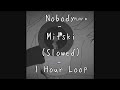 Nobody - Mitski (Slowed) - 1 Hour Loop