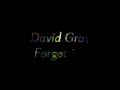 David Gray "Forgetting"
