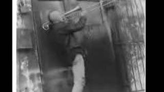 poi dog pondering "everybody's trying"