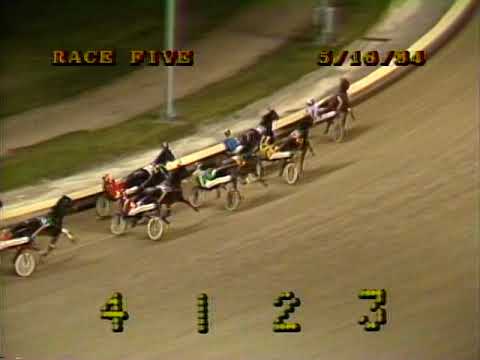 1984 Roosevelt Raceway - May 16, 1984 full card