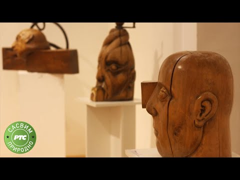 Sasvim prirodno: Macola (Jovan Memedović)