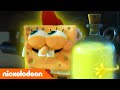 Koraalkamp: SpongeBob's jonge jaren | Sugar Squeeze | Nickelodeon Nederlands