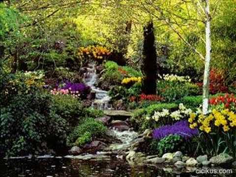 Kir Cicegi - Dj.Efsane