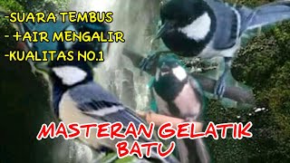 Download lagu Masteran Gelatik Batu Full Tembakan Plus Aliran Air mp3