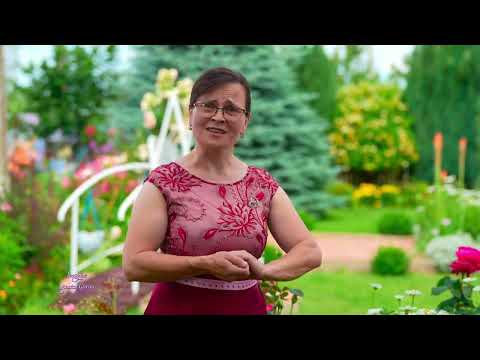 ❤️✨💥Svetlana Titica - Locul unde m-am născut | Official 2024 💥✨❤️