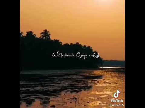 ❤️Natural ❤️