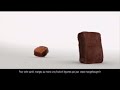 Trésor De Kellogg S Chocolat Brownie