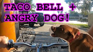 Taco Bell drive Thru and chased by a dog!