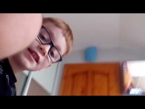 Reagujeme na. Bláznivé mački