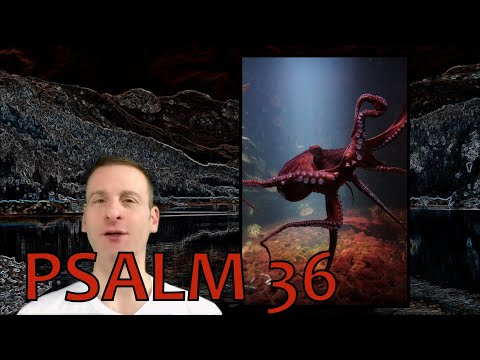 Psalm Chapter 36 Summary and What God Wants From Us