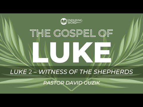 Luke 2 - Witness of The Shepherds