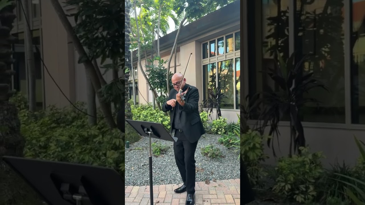 Promotional video thumbnail 4 for Francisco Violinist/Strings Ensembles