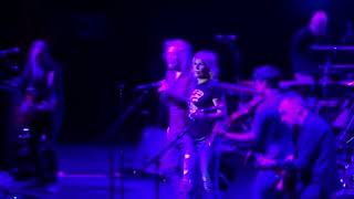 Robert Plant &amp; The Sensational Spaceshifters - Bluebirds over the  mountain RAH 8.12.17