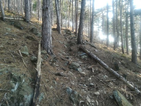 Escursione da Balangero al Monte Giovetto 09_02_2020