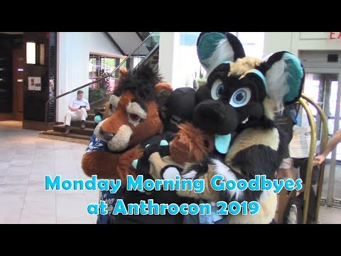 download lagu mp3 mp4 Monday Morning Furry, download lagu Monday Morning Furry gratis, unduh video klip Monday Morning Furry